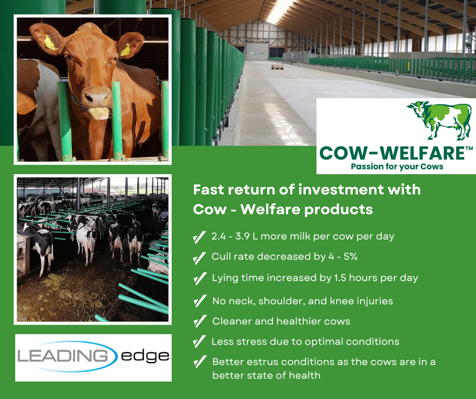Cow welfare products and barn systems